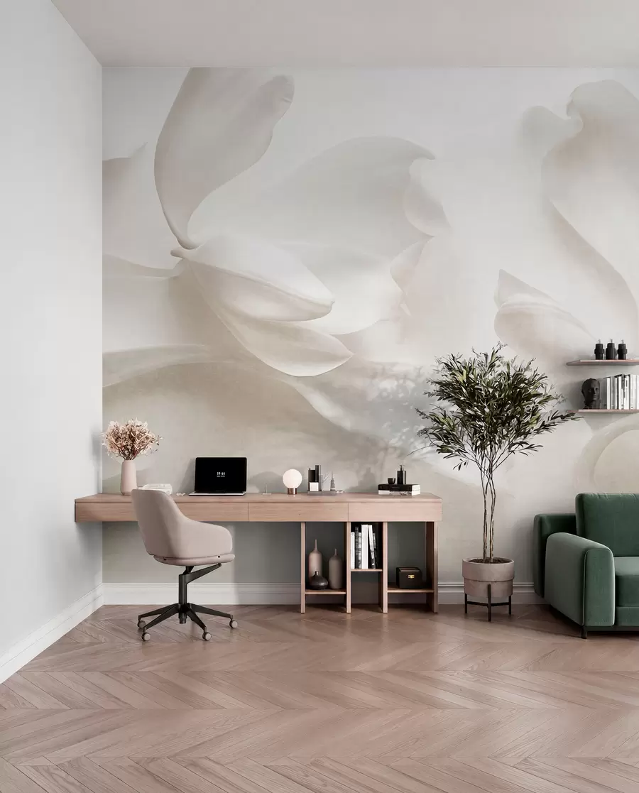 fototapeter Hvite magnoliablomster med struktur og delikate kronblader, mot en uskarp, lys bakgrunn w09771