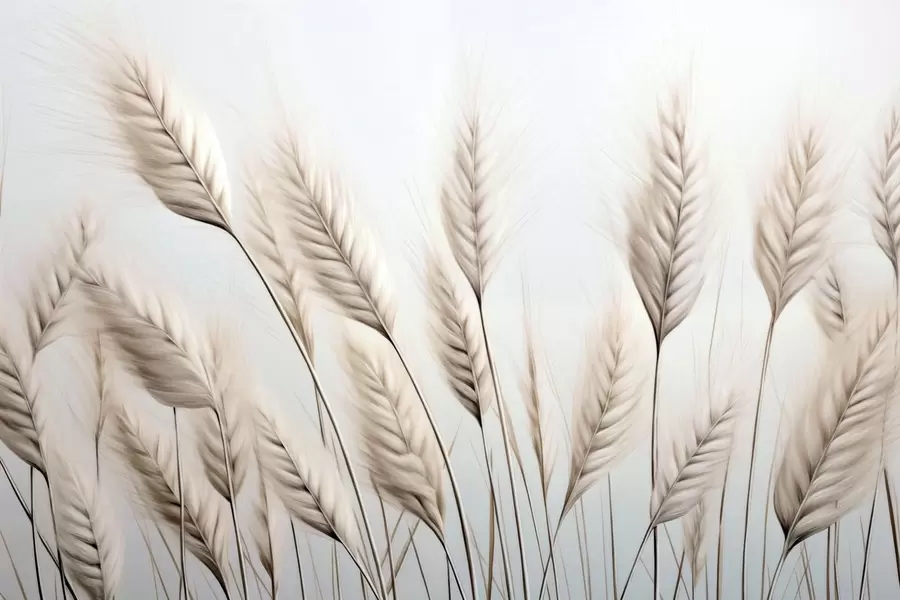 fototapeter Spikelets w05715