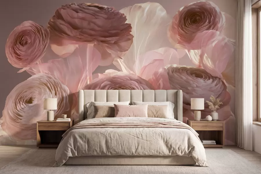 fototapeter Store, kunstneriske ranunkelblomster i myke rosa- og kremfarger w09921