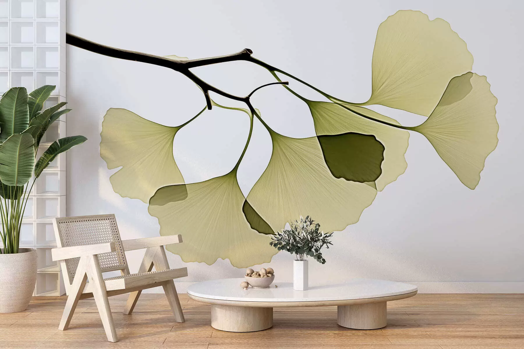 fototapeter Ginkgo-vifteblader w09968