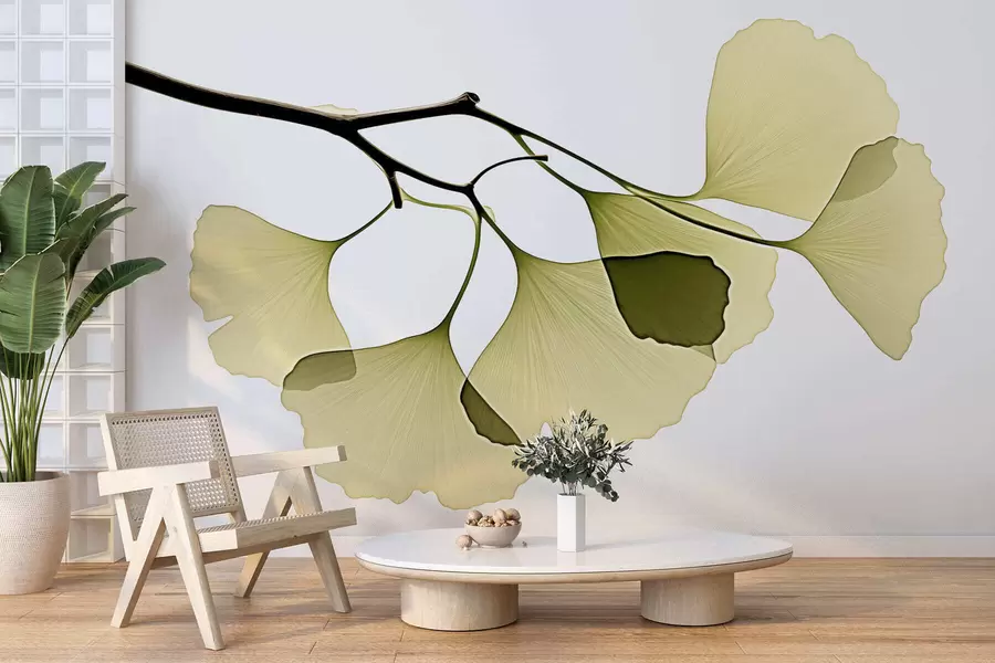fototapeter Ginkgo-vifteblader w09968