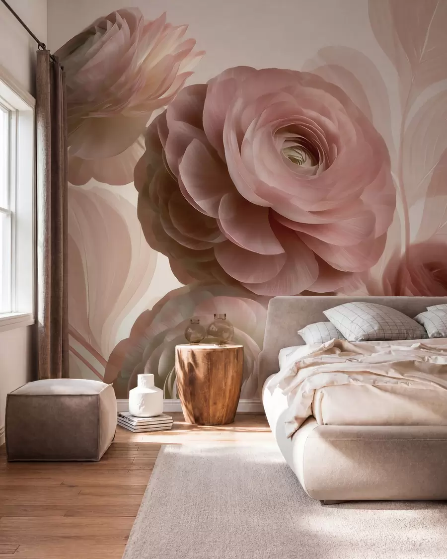 fototapeter Fyldige, pudderrosa ranunkelblomster med gjennomskinnelige kronblader i myke rosa og beige nyanser w09998