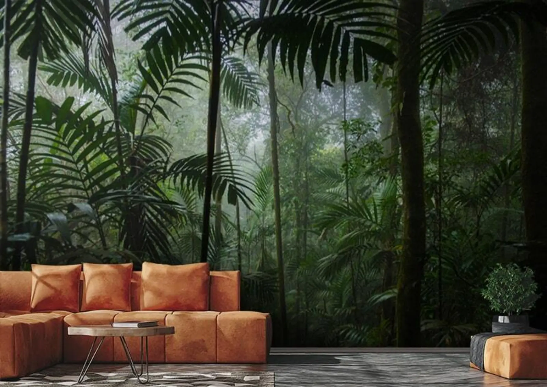 fototapeter En tropisk skog u72344