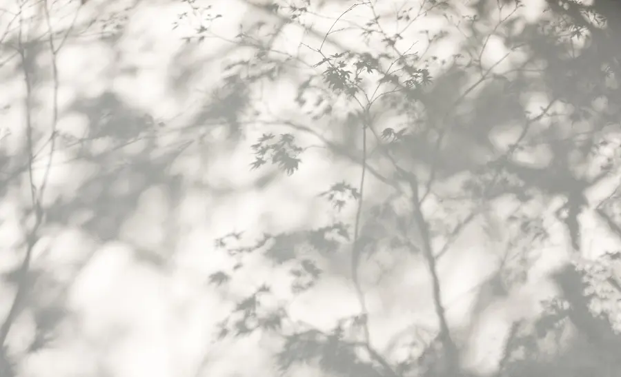 fototapeter Skygge på veggen u79829