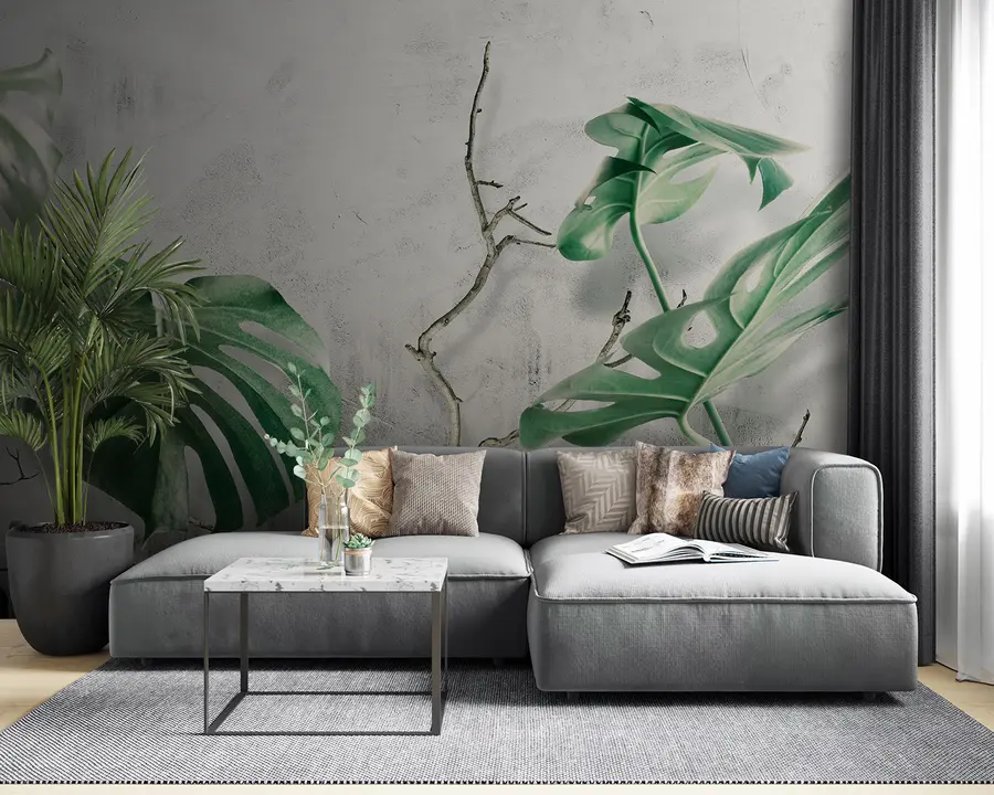 fototapeter Plante, blad og organisme u33606