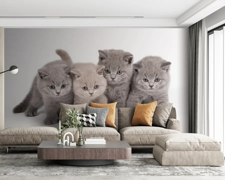 fototapeter Øye, katt og rovdyr u55076