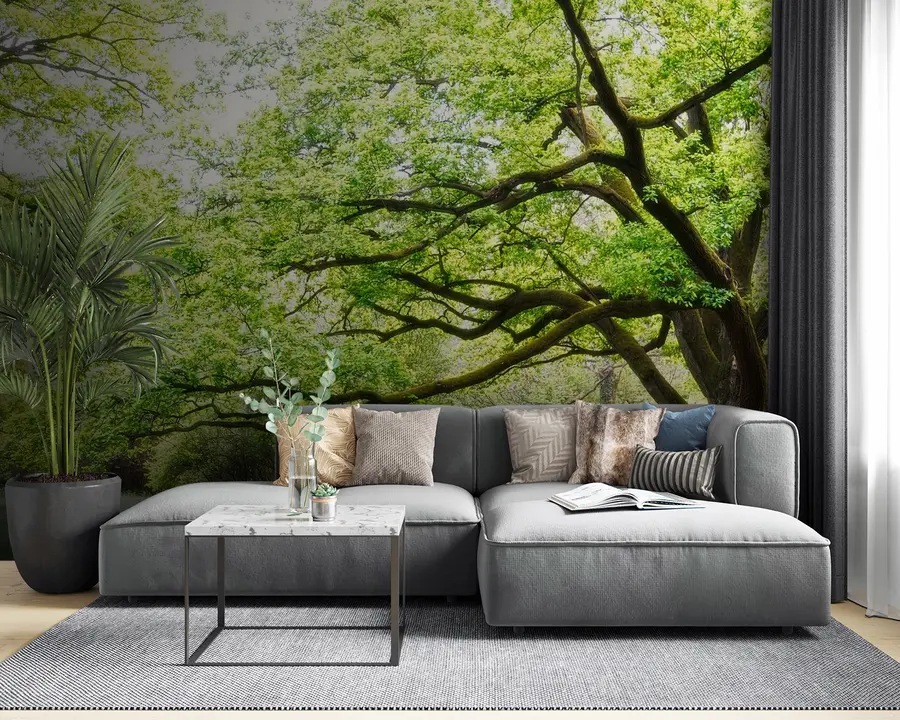 fototapeter Plante-, grønt- og naturlandskap u55659