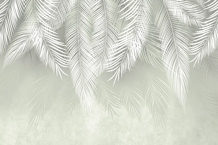 fototapeter Hvite palmer med grener på grønn bakgrunn u74489