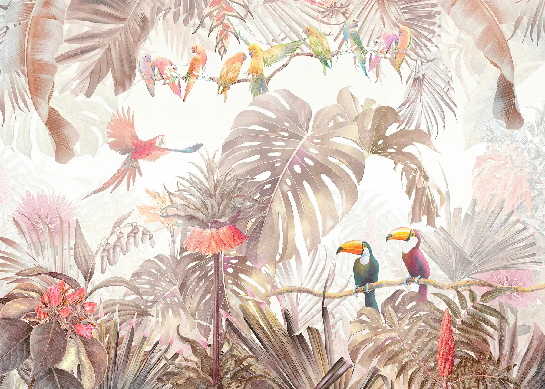 fototapeter Lyse fugler og papegøyer i tropene u74490