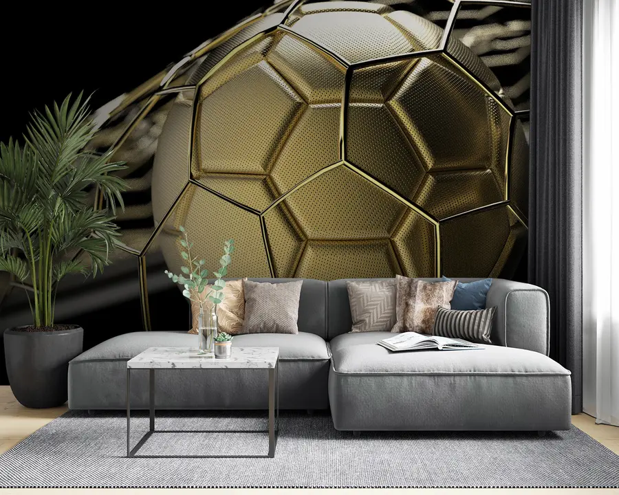 fototapeter Fotball i nettet u94060