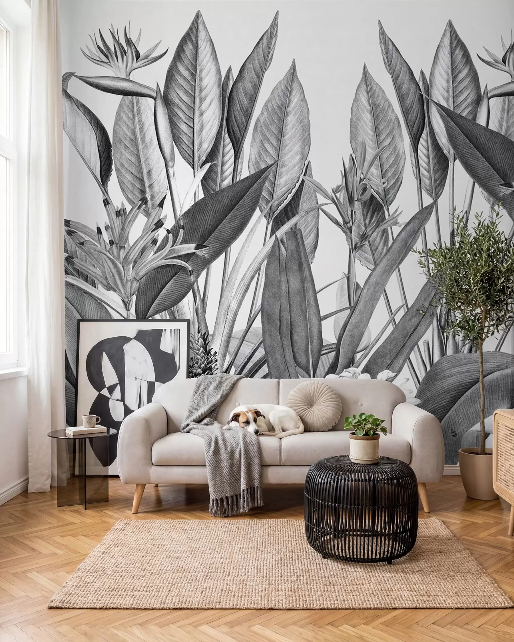 fototapeter Tropiske jungelplanter i svart-hvitt u96833