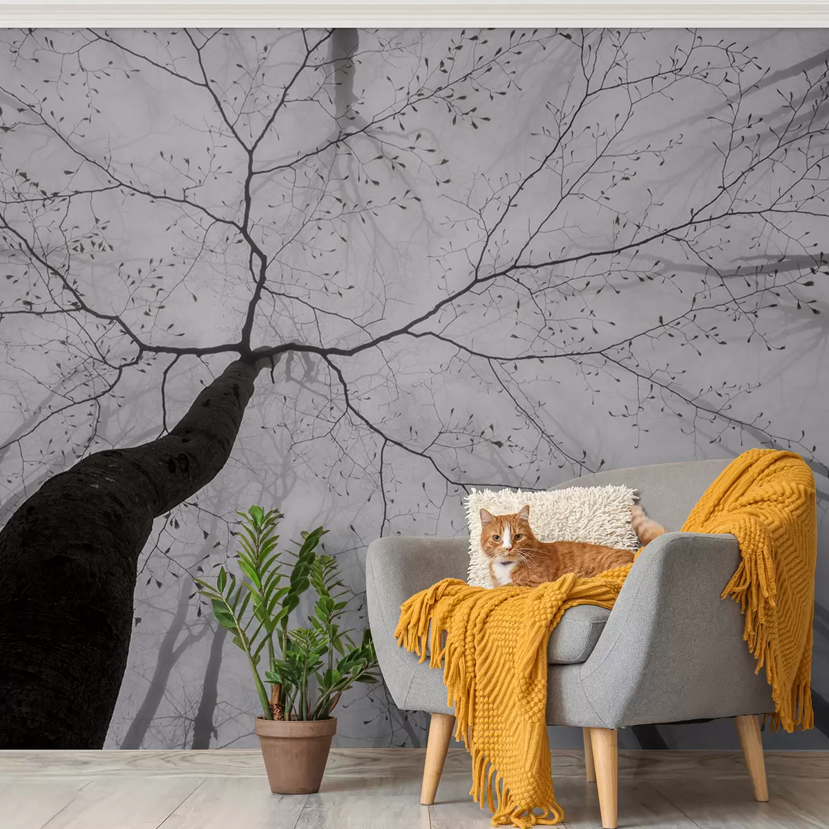 fototapeter En tåkete morgen i skogen u97391