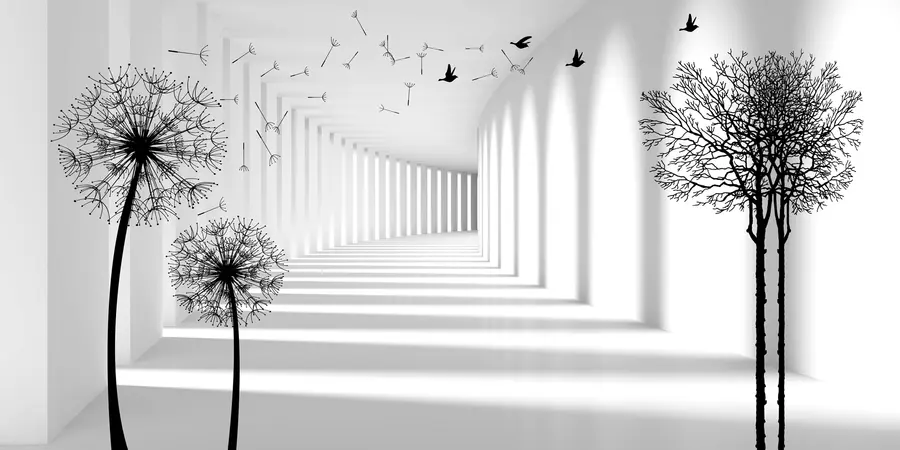 fototapeter Dybde og lys u37803d2