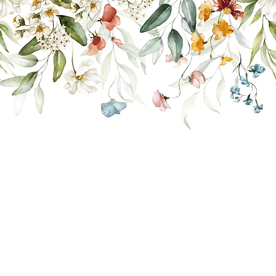 fototapeter Blomster og blader på hvit bakgrunn u99495